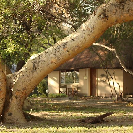 Island Safari Lodge Maun Exterior foto