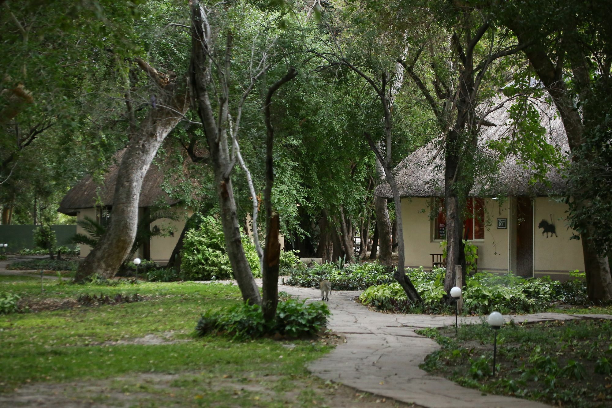 Island Safari Lodge Maun Exterior foto