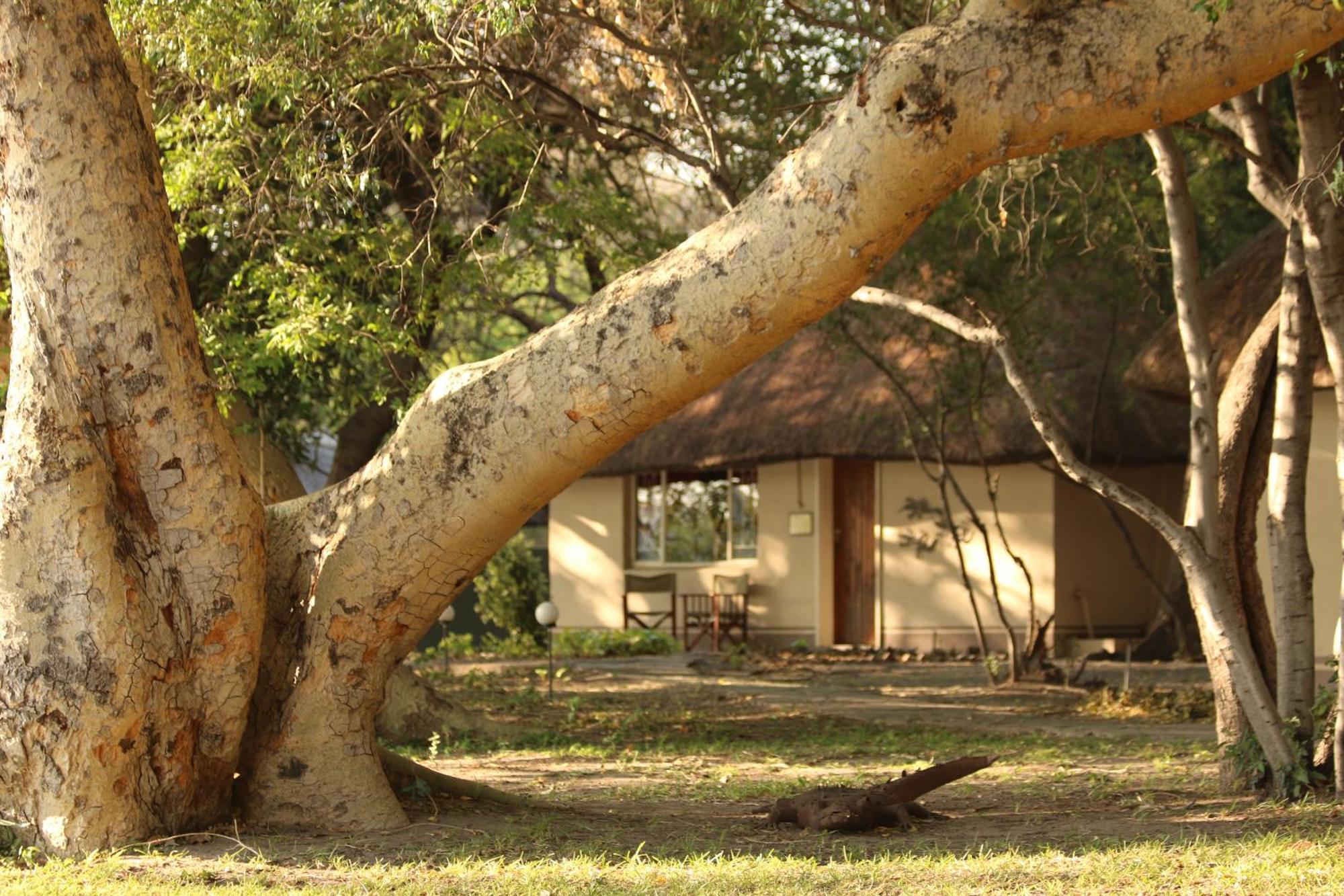 Island Safari Lodge Maun Exterior foto