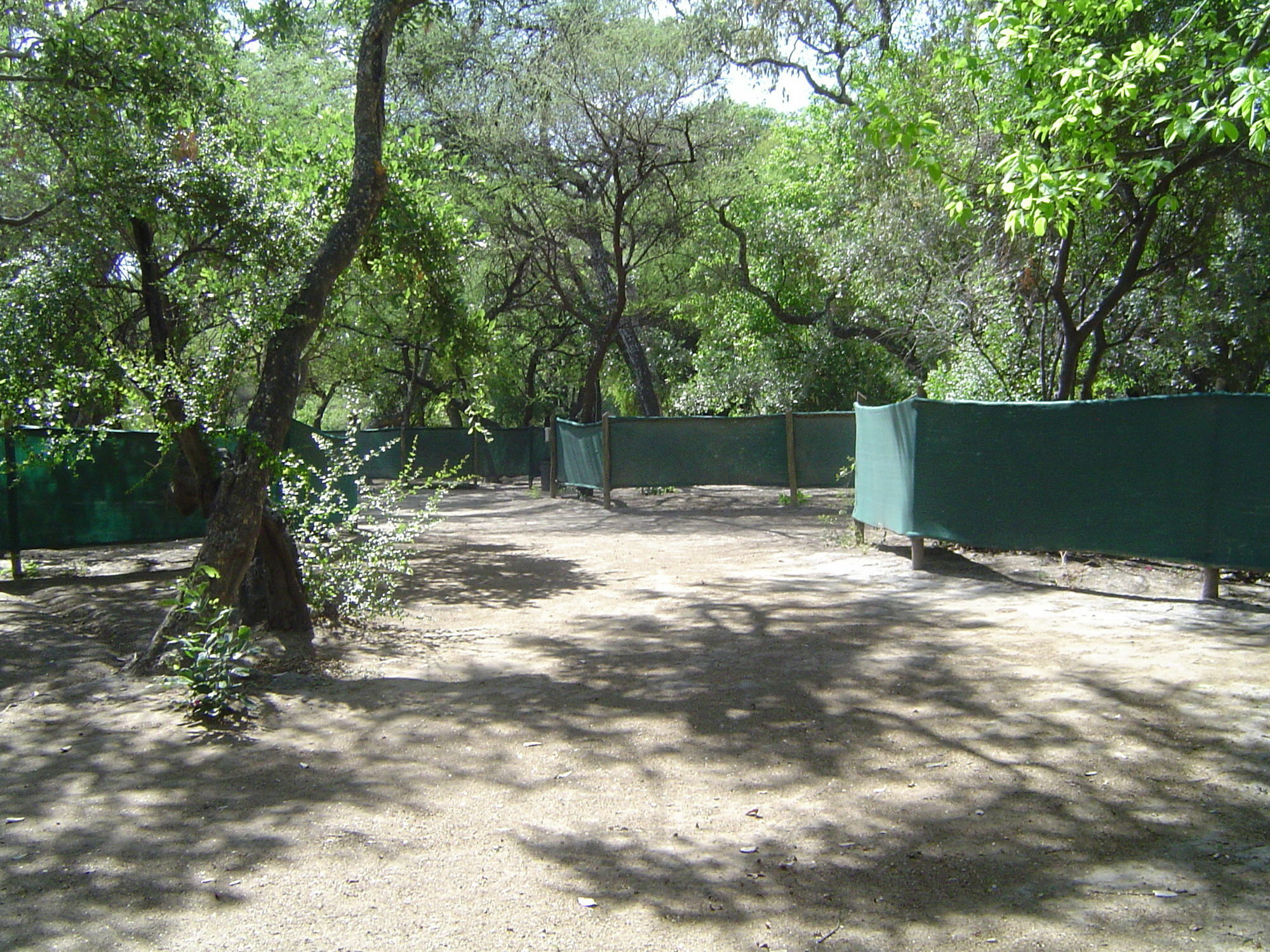 Island Safari Lodge Maun Exterior foto